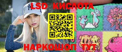 гидра Камышлов