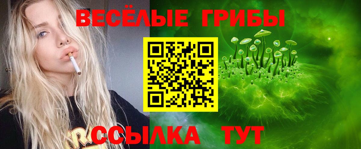 магазин  наркотиков  Псилоцибиновые грибы Psilocybine cubensis  Вход с VPN  Кушва 